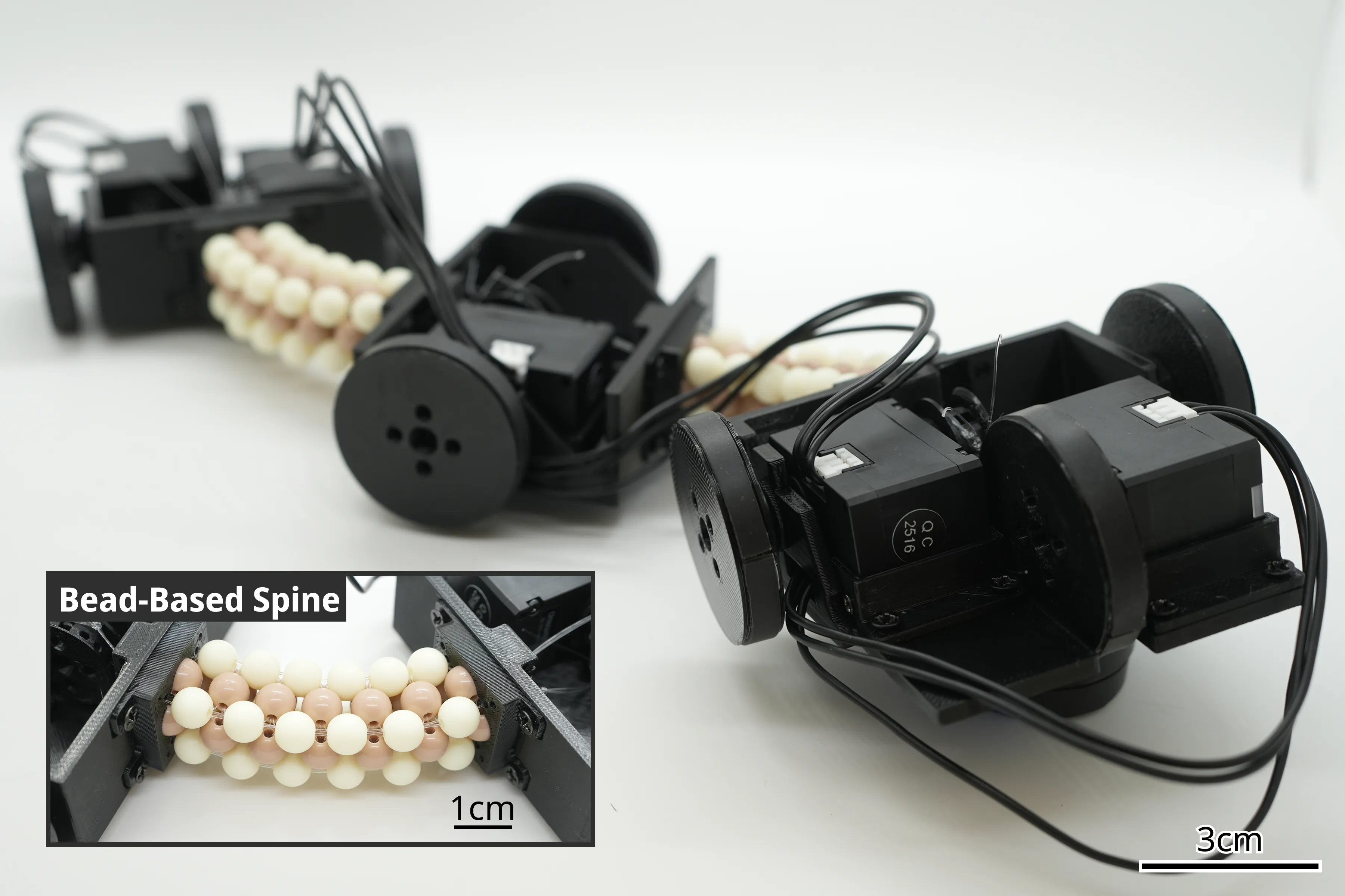Tendon-driven mobile robot with two bead-based spines connecting three wheeled modules