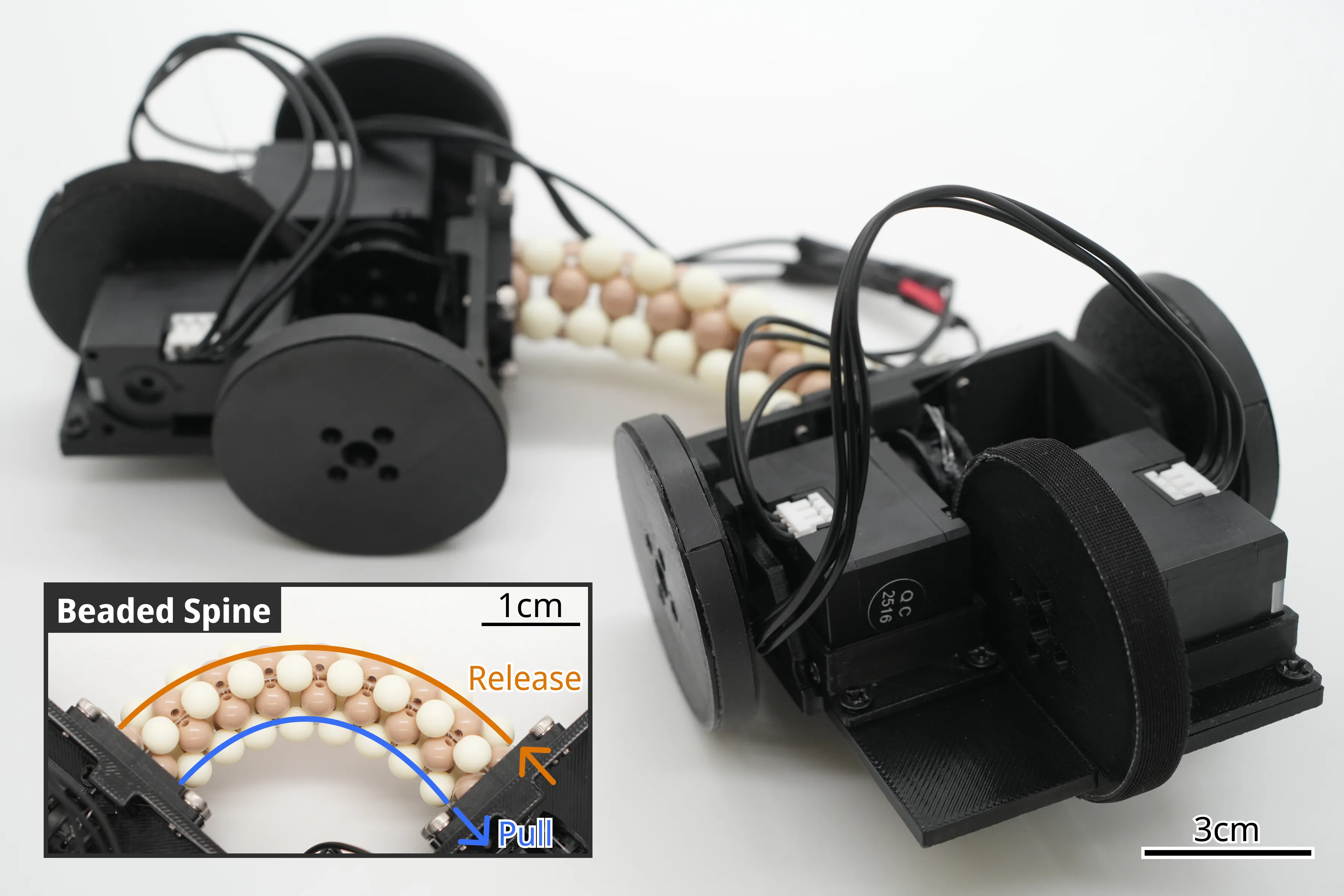 Two-module wheeled mobile robot connected by a tendon-driven beaded spine, with an inset showing tendon-driven bending